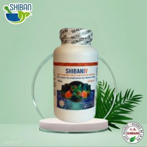 SHIBANIV